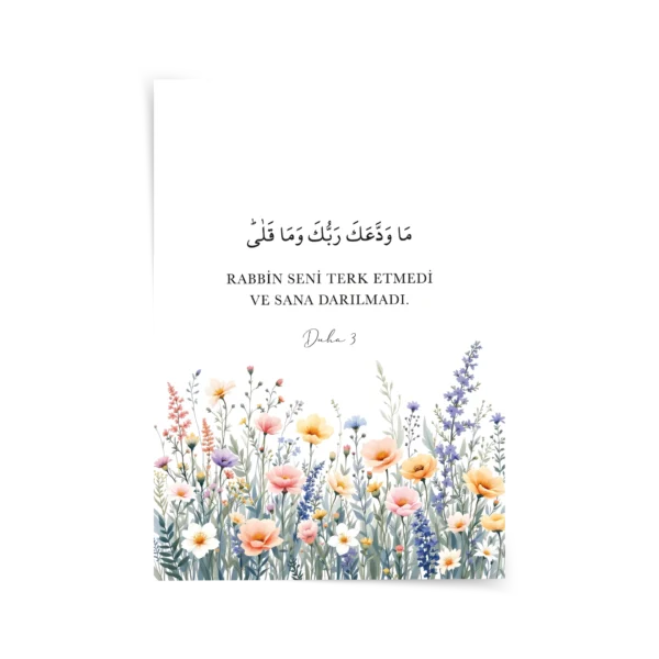 Duha 3 Poster & Çerçeveli Tablo