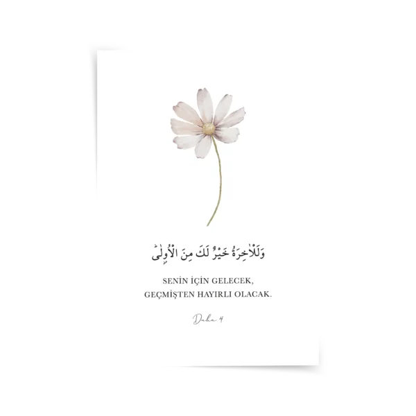 Duha 4 Poster & Çerçeveli Tablo