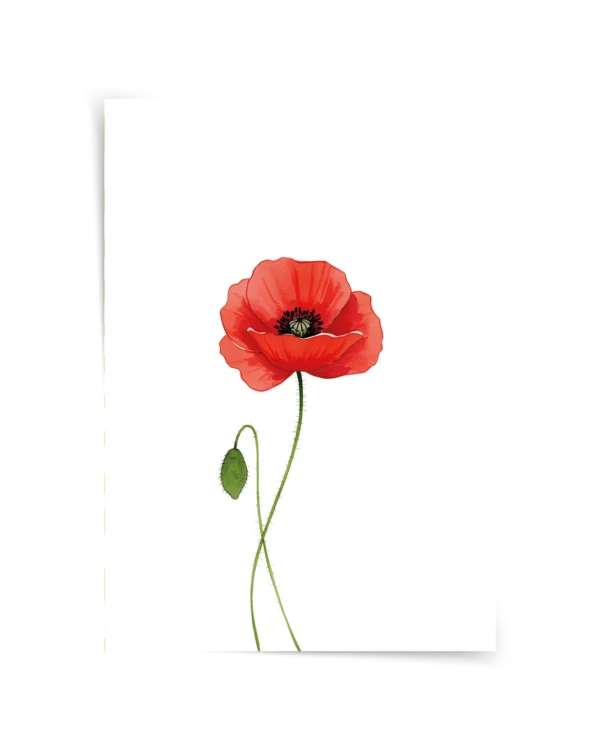 Gelincik Çiçeği Çerçeveli Tablo ve Poster