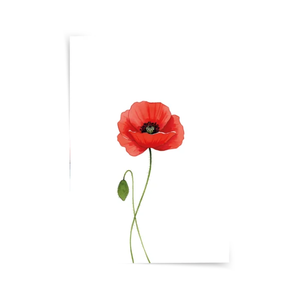 Gelincik Çiçeği Poster & Çerçeveli Tablo