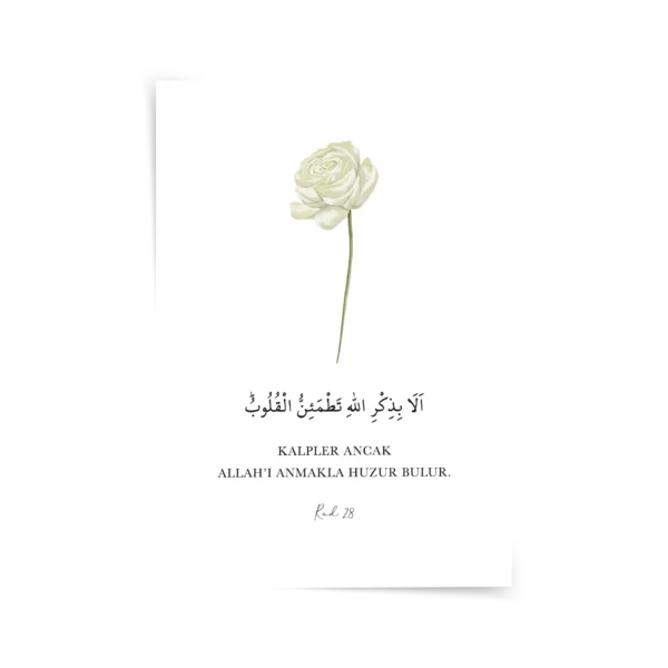 Rad 28 Poster & Çerçeveli Tablo